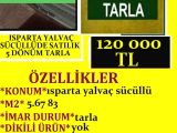 ISPARTA YALVAÇ SÜCÜLLÜDE SATILIK 5 DÖNÜM TARLA POLAT EMLAK