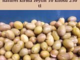 Manisa organik zeytin