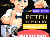PETEK TEMİZLİĞİ DENİZLİ