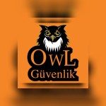 OWL GROUP